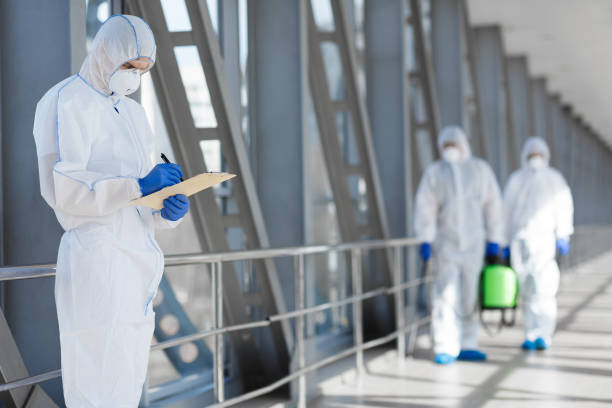 Best Mold Documentation for Insurance Claims  in Grasonville, MD