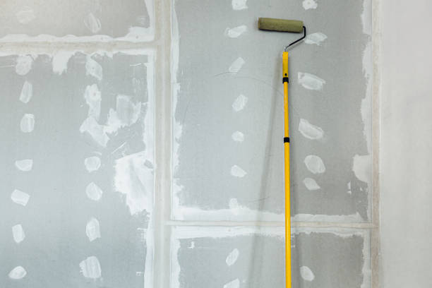 Best Emergency Mold Remediation  in Grasonville, MD