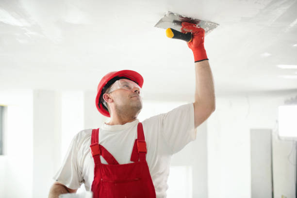 Best Mold Odor Removal Services  in Grasonville, MD