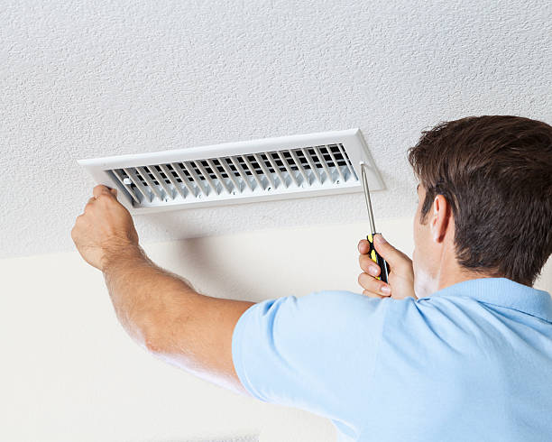 Best Mold Prevention Services  in Grasonville, MD