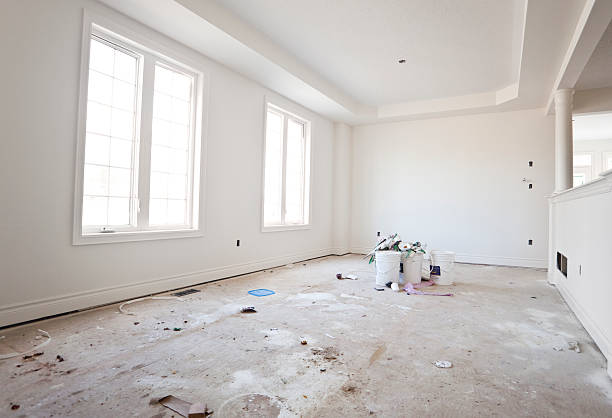 Grasonville, MD Mold Removal Company