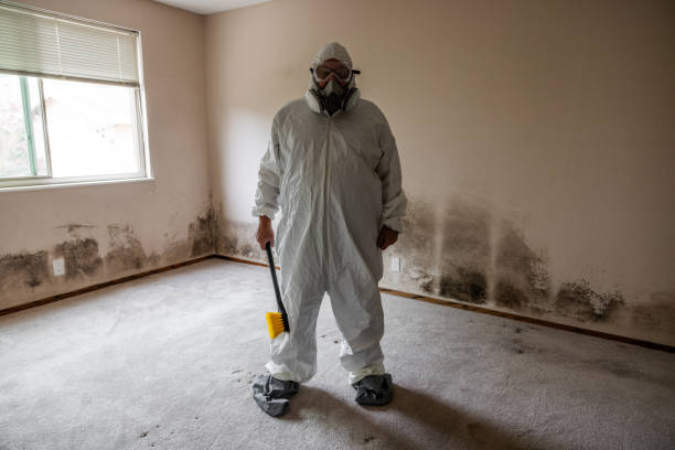Best Air Quality Testing for Mold Spores  in Grasonville, MD