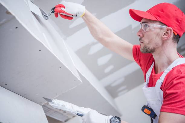 Best Water Damage & Mold Remediation  in Grasonville, MD